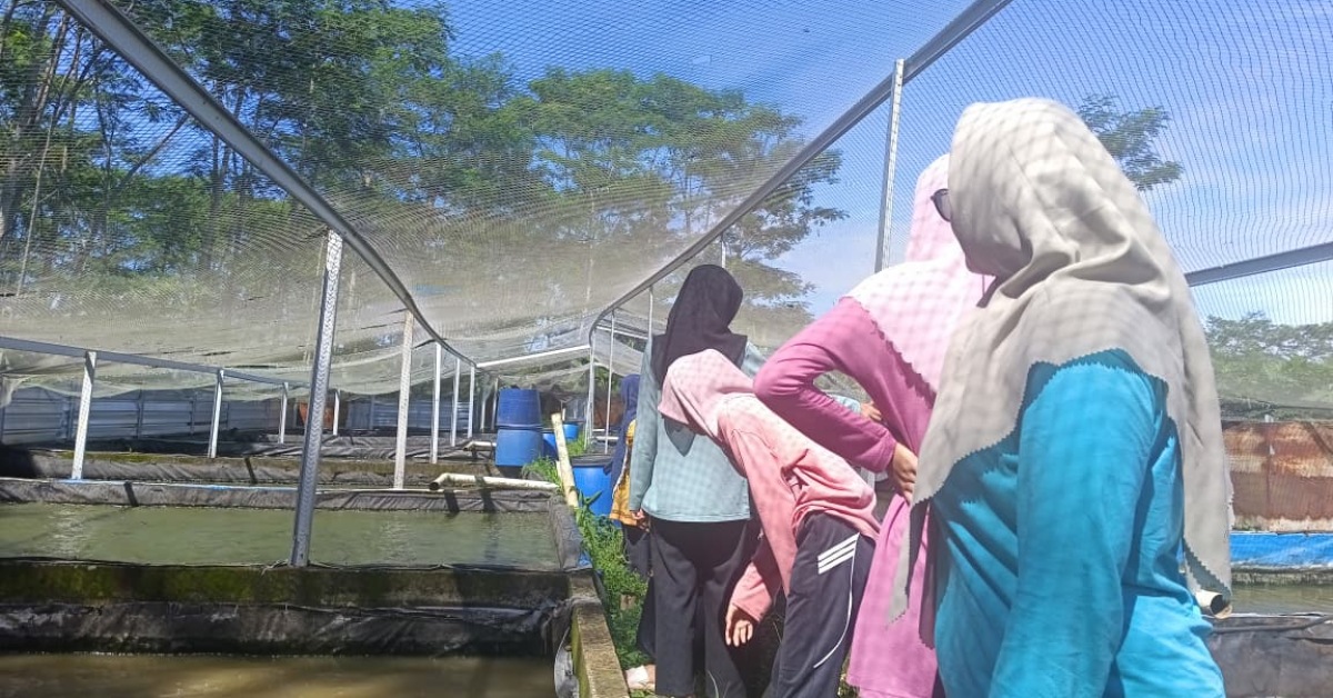 Ke Empang Lele Bersama Ibu Posko