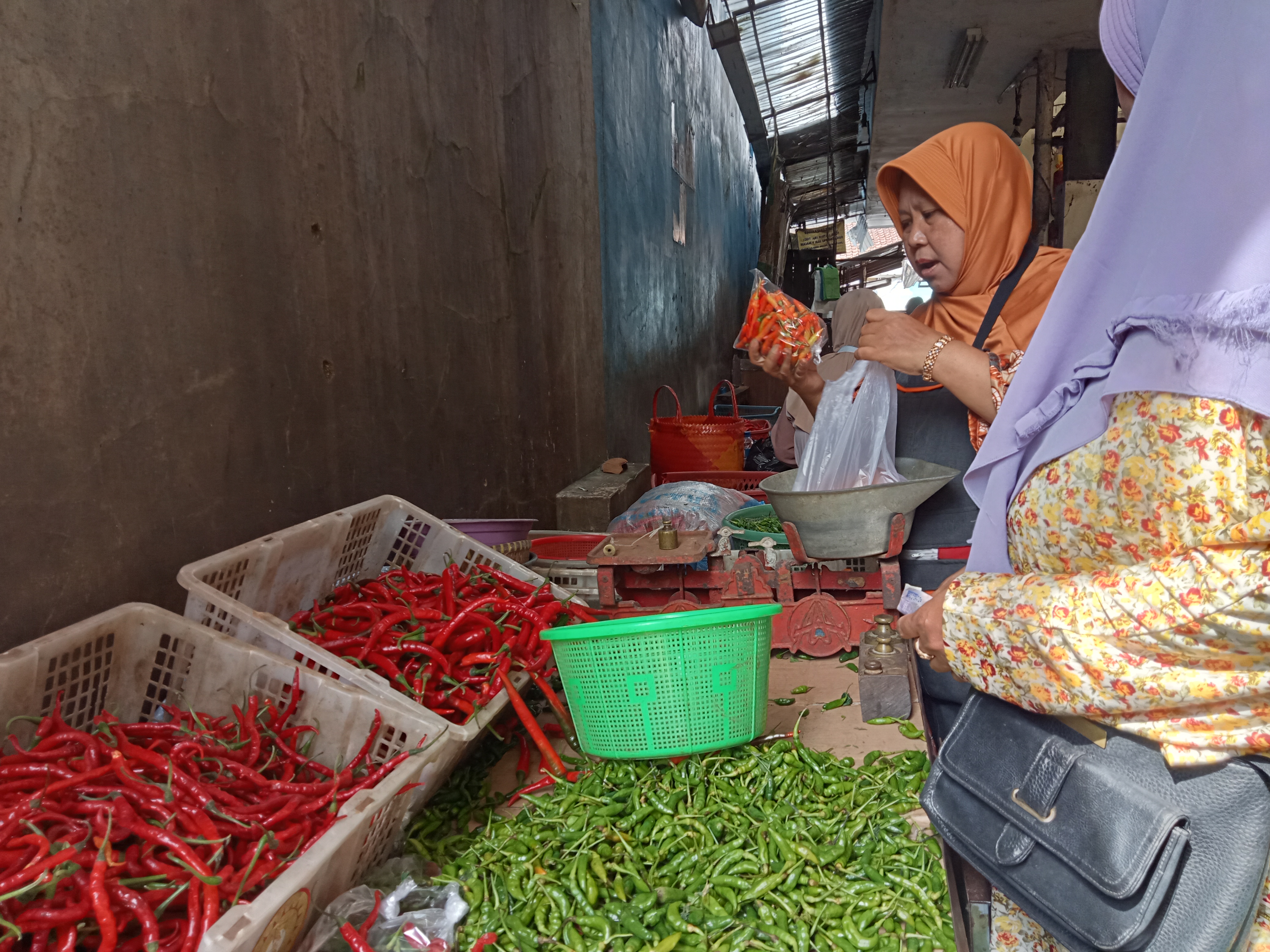 Foto Galeri